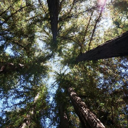 Riverside Campground & Cabins Big Sur Bagian luar foto