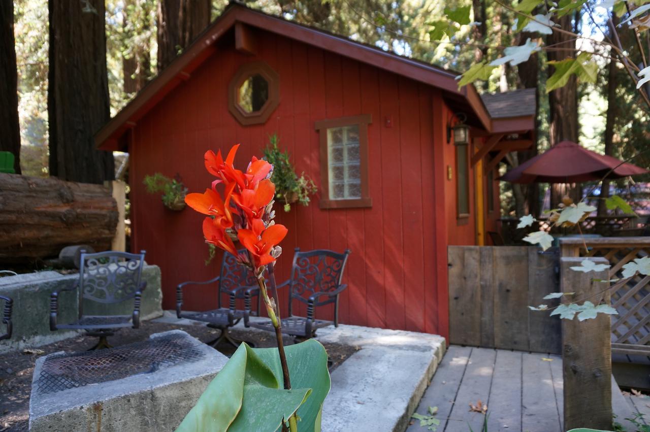 Riverside Campground & Cabins Big Sur Bagian luar foto